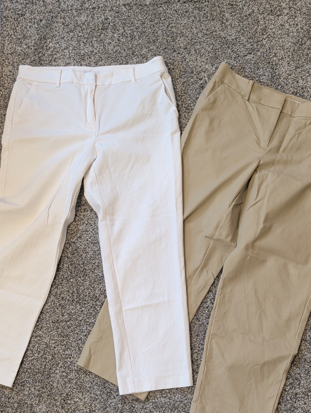 Loft Riviera Slim Curvy Dress Pants